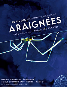 Au fil des araignées 