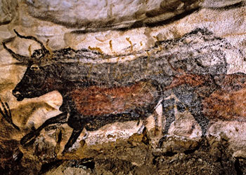 Aurochs - grotte de Lascaux