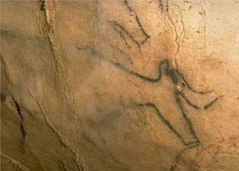 Aurochs peint dans la grotte de Pech Merle