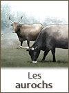 L'aurochs