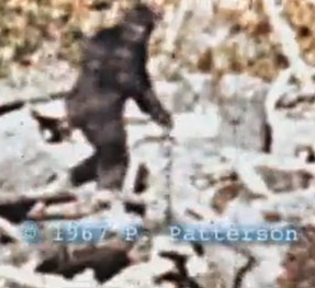 Le Bigfoot nous délivre son ADN ? 