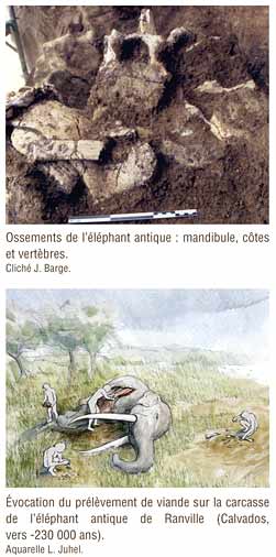 Eléphant antique de Ranville dans le Calvados