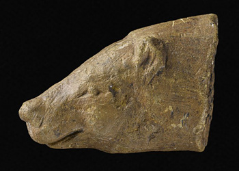 Tête d'ours Grotte d'Isturitz