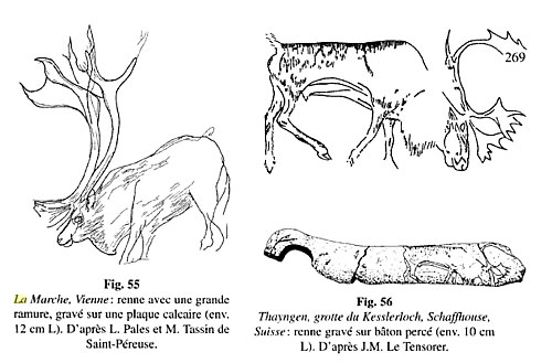 Une image du livre Les Magdaléniens : art, civilisations, modes de vie, environnements