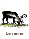 Le renne à la préhistoire