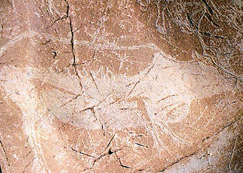 Renne Grotte des trois frères