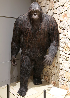 Le yeti... ou du moins l'image que l'on s'en fait...