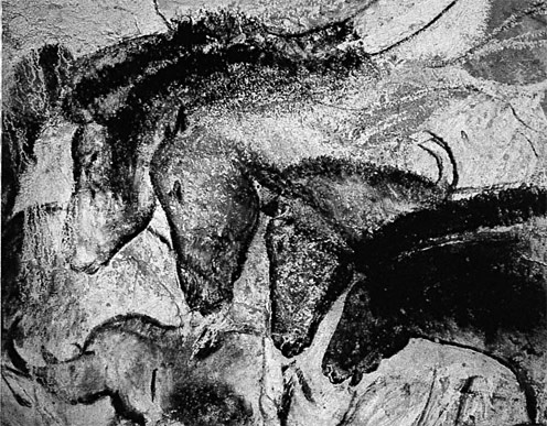 Grotte Chauvet - Le panneau des chevaux