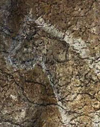 Une gravure de cheval dans la grotte d'Atxurra en Espagne