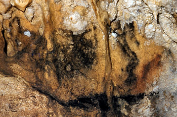 Homme face au bison dans la Grotte de Villars