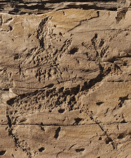Conférencfe sur l'art rupestre de Khakasie en Sibérie