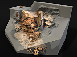 Image de synthèse du crâne de Djebel Hiroud au Maroc 