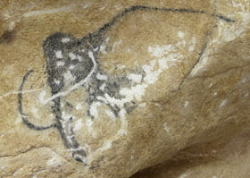 Mammouth grotte Chauvet