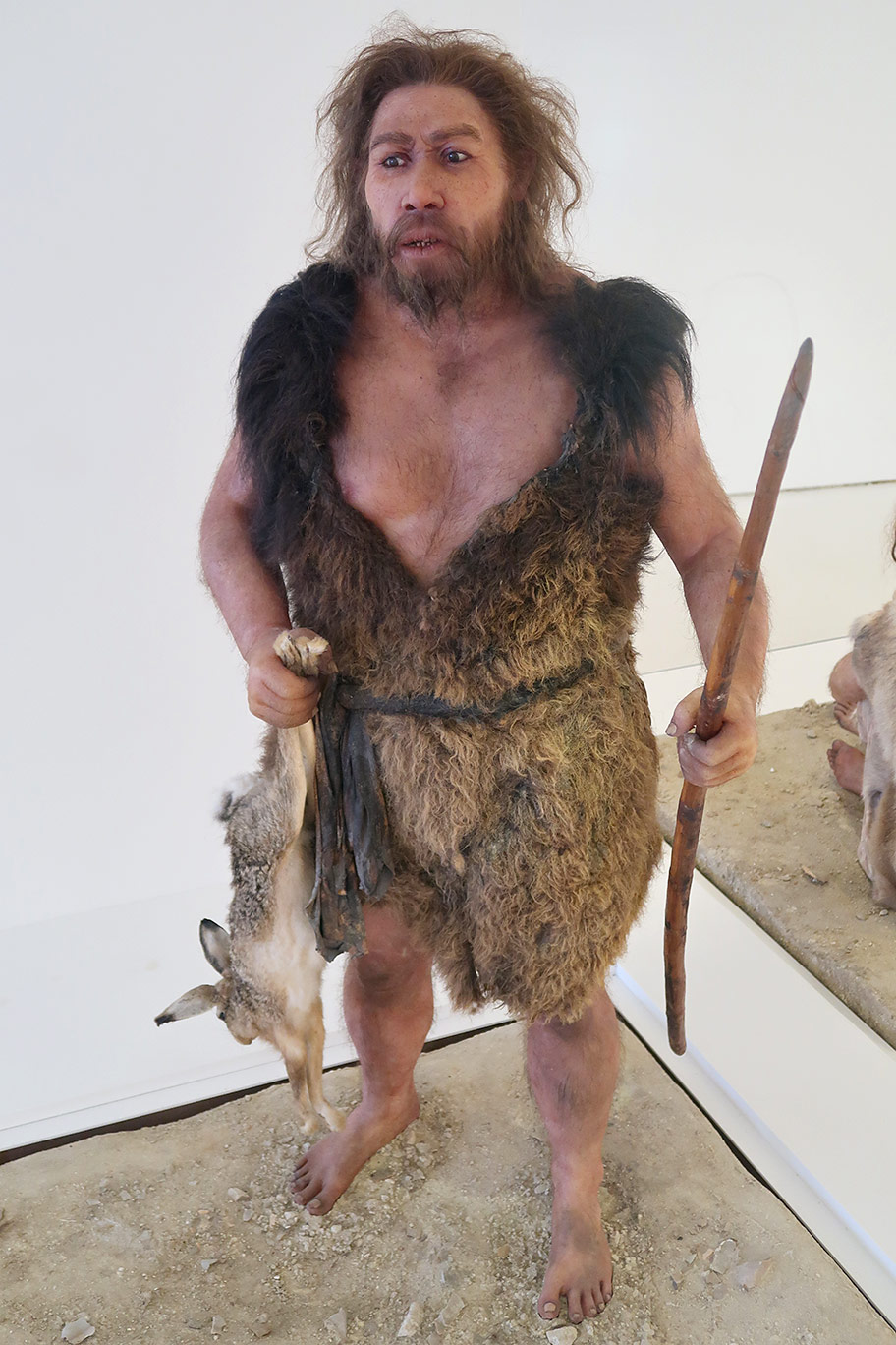 La Chasse A La Prehistoire Hominides La Chasse A La Prehistoire Hominides