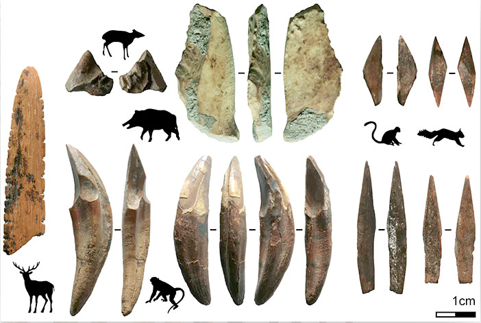 Utilisation de pointes de flèches 48 000 ans- Hominidés