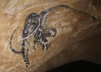 Mammouth Grotte Chauvet