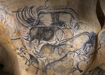 Rhinoveros grotte Chauvet