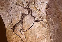 Cerf mégacéros - Grotte Chauvet