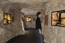Exposition grotte chauvet : grotte