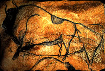 Grand bison - Grotte Chauvet