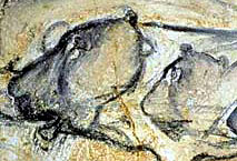 Lionnes de la Grotte Chauvet