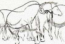 Figures enchevétrées cheval, bison - Combarelles