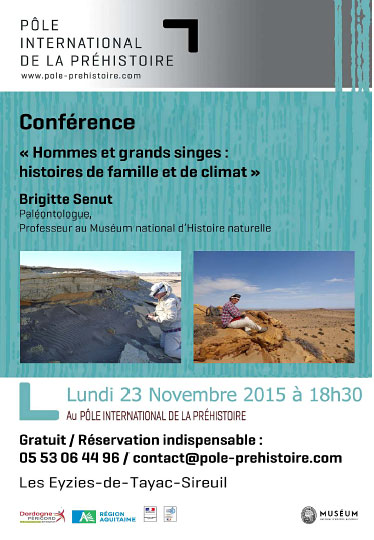 Hommes et grands singes : histoires de famille et de climat