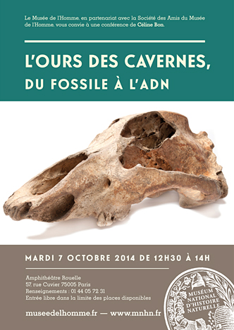 Ours des cavernes, du fossile à l'ADN 