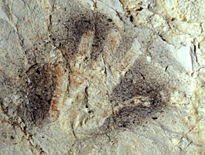 Main négative grotte de Cosquer