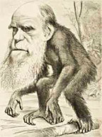 Une caricature de Darwin