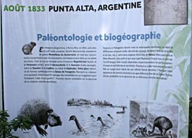 Punta Alta Darwin
