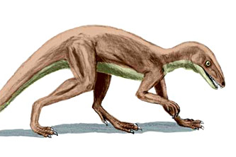 Lagosuchus