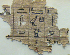 Hiéroglyphes - papyrus - Abusir - 2360 avant JC