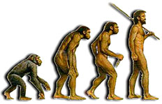 Evolution de l'homme