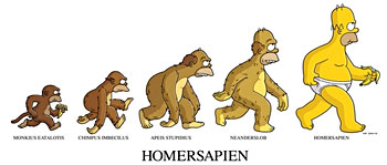 foi et raison - Page 3 Evolution-homer-simpson