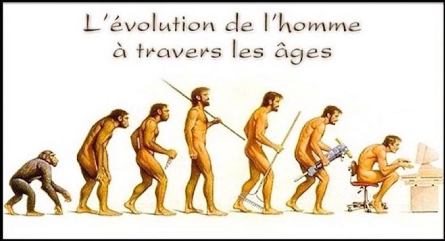 Vie Mort Et Renaissance D Une Image Forte Et Fausse De La Prehistoire La Frise De L Evolution Pascal Semonsut Hominides