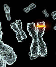 Mutation ADN