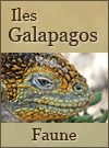 Galapagos Iles