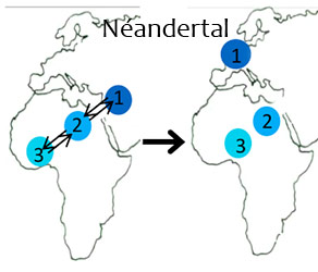Etat génétique il y a 230 000 ans