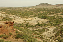 Gorges d'Olduvai