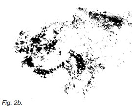 Tracé du rhinoceros à Villars