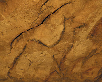 Mégaloceros, grande grotte à Arcy-sur-Cure