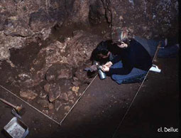 Fuilles à l'entrée de la grotte de Commarque