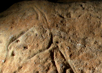 T&ecirc;te de cheval grav&eacute;e