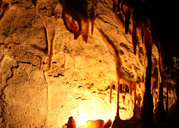Stalagmites de la grotte de Cougnac