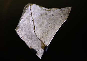 Plaquette ornée d'une tête gravée