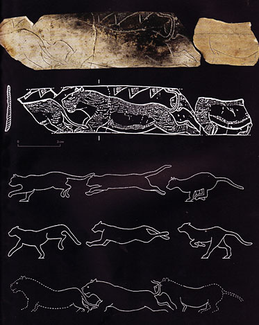 Etude du mouvement sur la frise des lions découverte à la grotte de la Vache