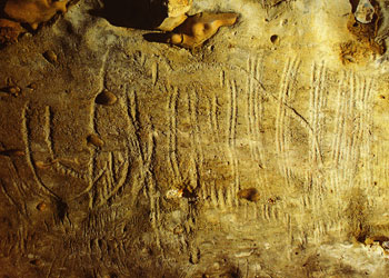 mammouth de la découverte