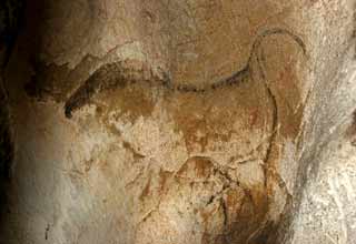 grotte de gargas