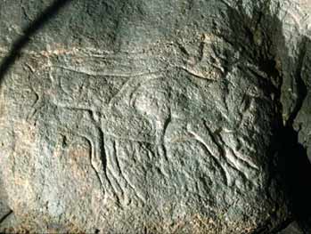 Gravures sur le pilier orné de la grotte d'Isturitz